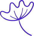 category shape