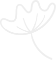 event shape 1
